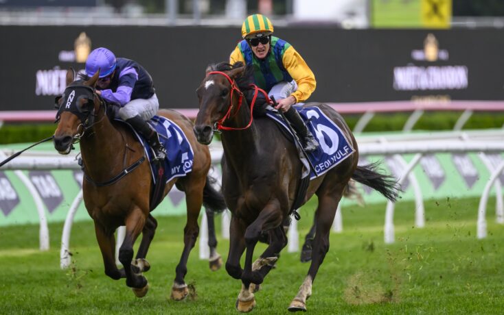 坛写下了新 坛写下了新