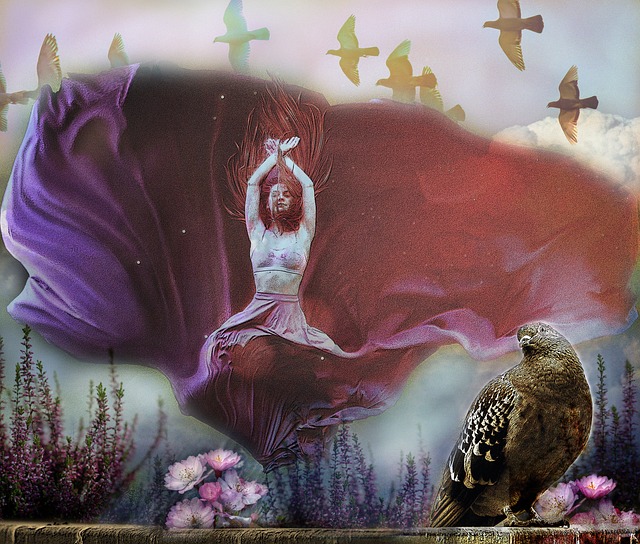 电影票房的 电影票房的