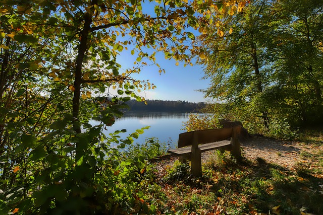 快船的机会 快船的机会
